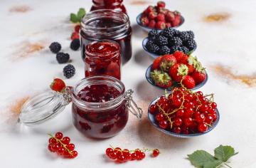 Finan Group Fruit Preparations & Filling Products and Solutions